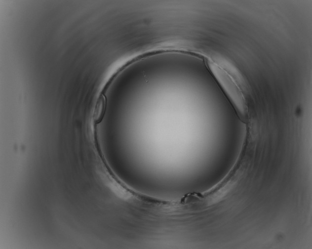 X0000094801288200711241416