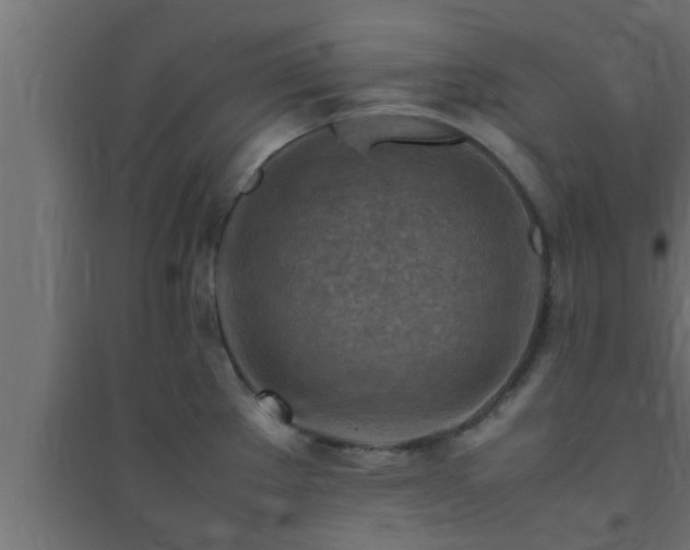 X0000094801289200711241416