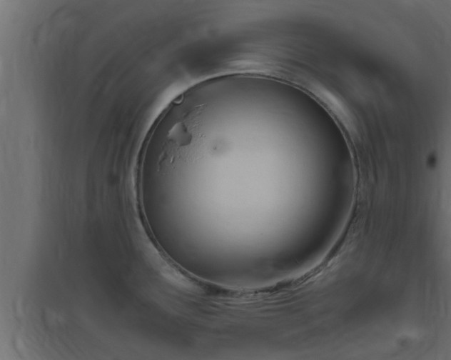 X0000094801291200711241416