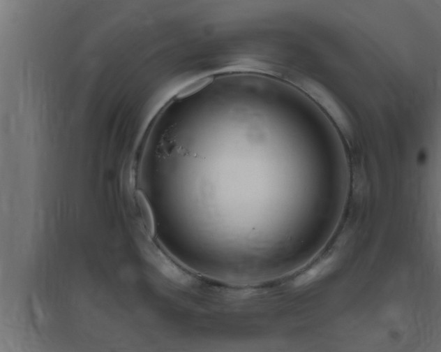 X0000094801292200711241416