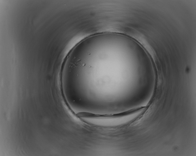 X0000094801293200711241416