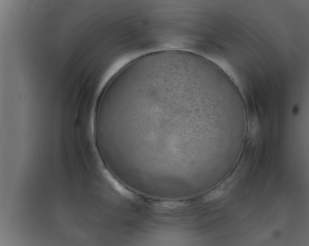 X0000094801294200711241416