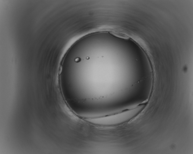 X0000094801296200711241416