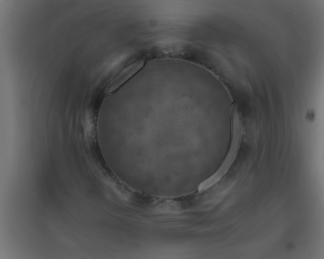 X0000094801298200711241415