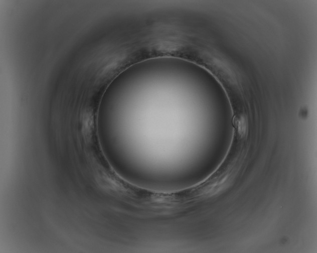 X0000094801299200711241415