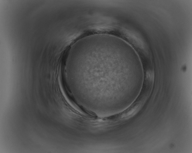 X0000094801300200711241415