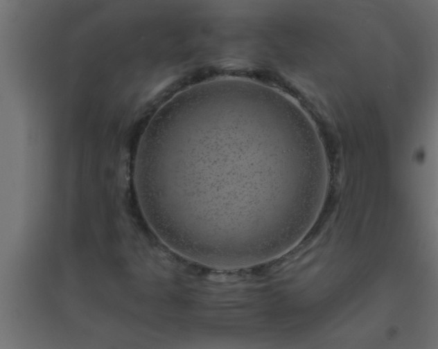 X0000094801301200711241415