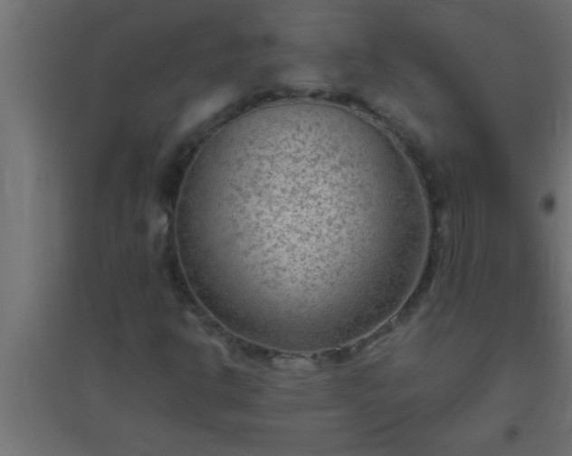 X0000094801302200711241415
