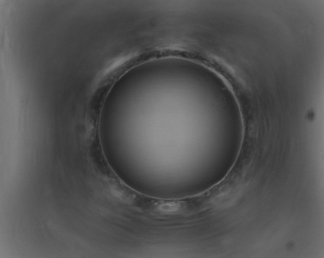 X0000094801303200711241415