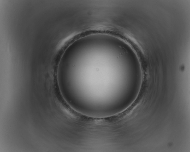 X0000094801304200711241415