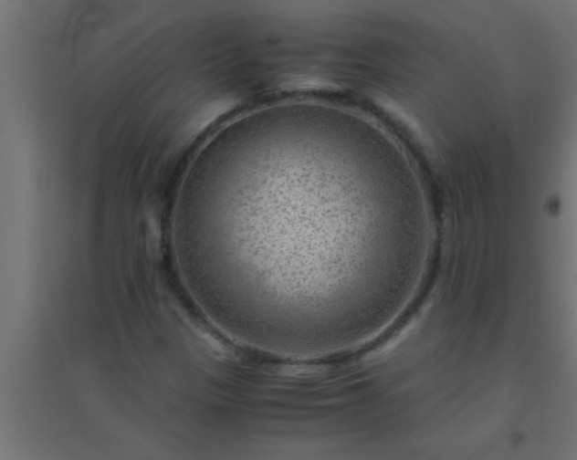 X0000094801305200711241415