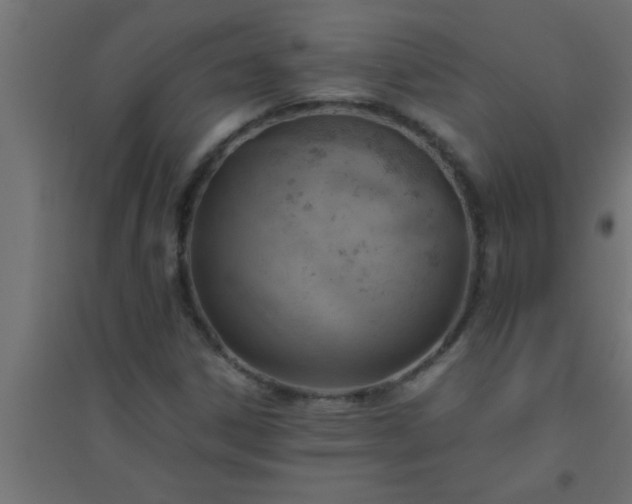 X0000094801306200711241415