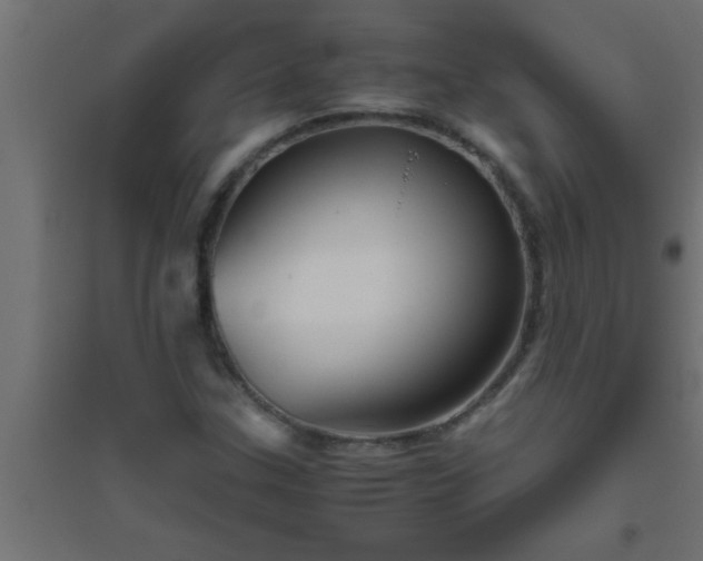 X0000094801307200711241415
