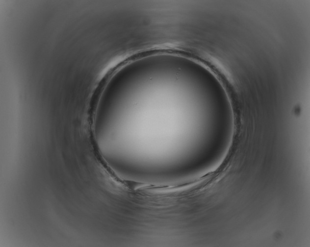 X0000094801308200711241415