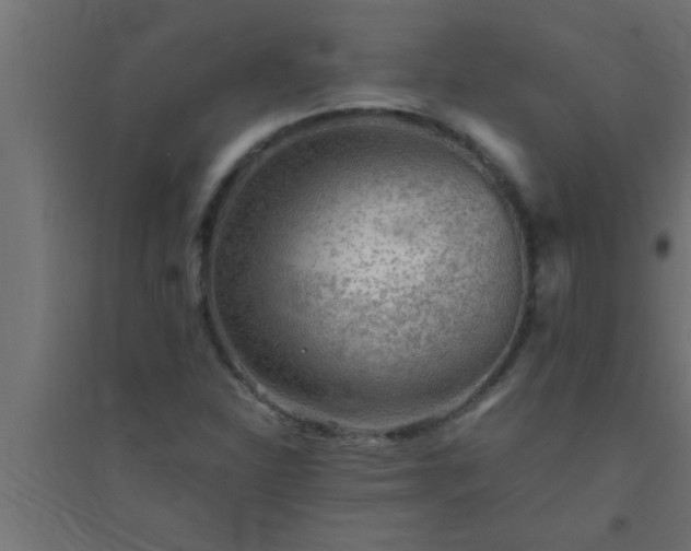 X0000094801310200711241415