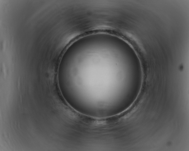 X0000094801313200711241415
