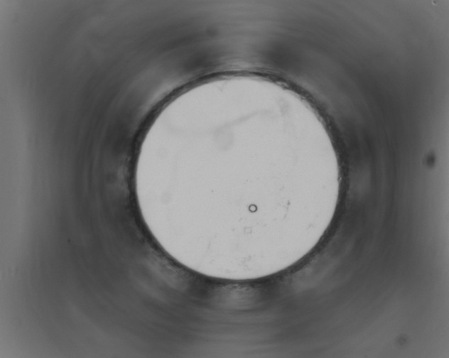 X0000094801314200711241415