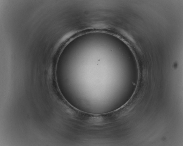 X0000094801315200711241415