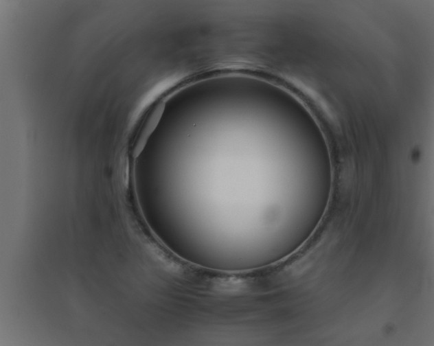 X0000094801317200711241415