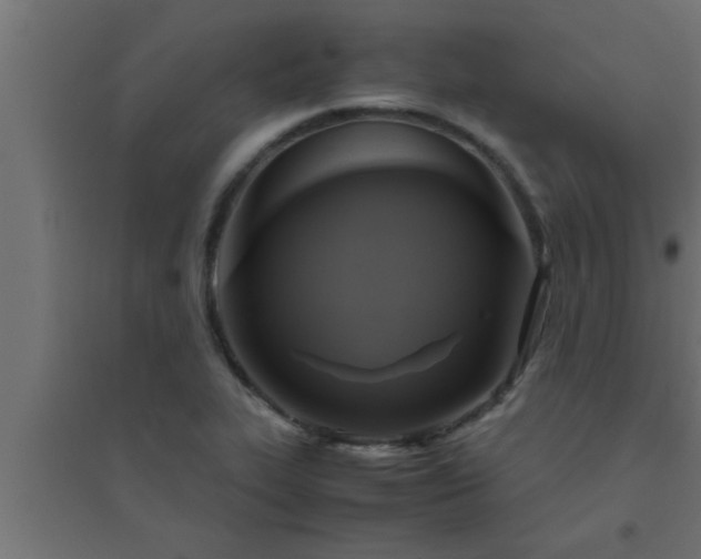 X0000094801319200711241415