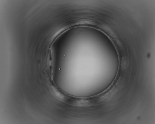 X0000094801321200711241415
