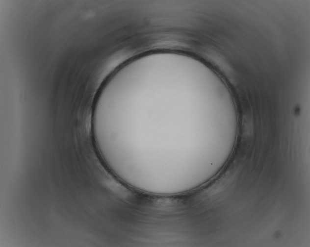 X0000094801322200711241415