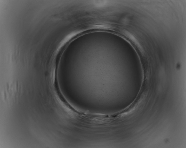 X0000094801323200711241415