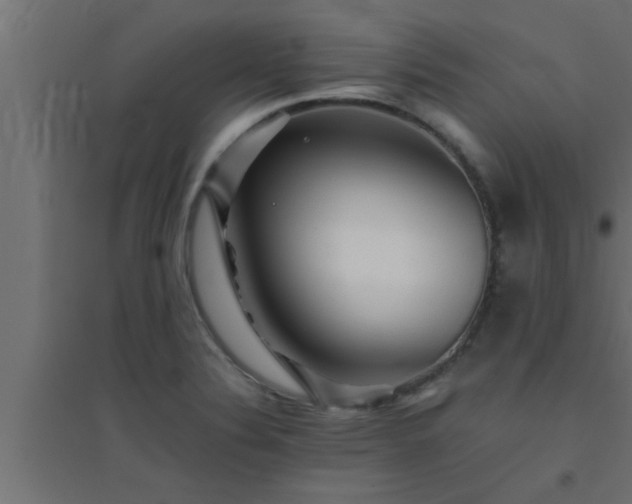 X0000094801324200711241415