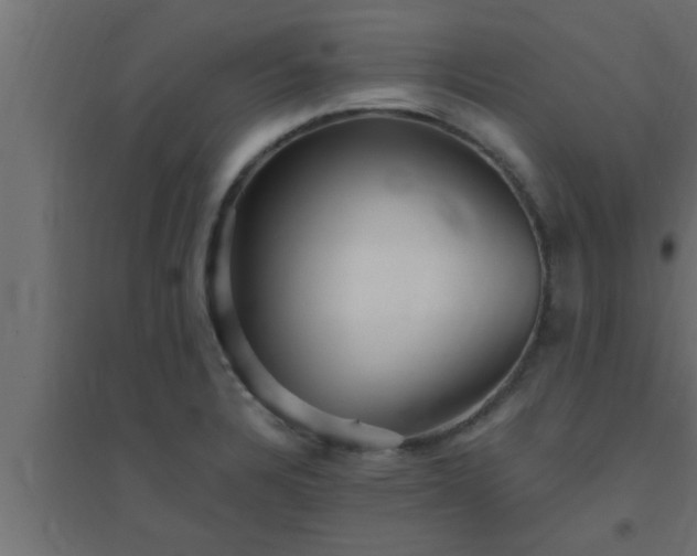 X0000094801328200711241415