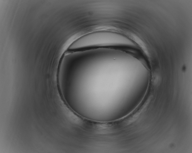 X0000094801330200711241415