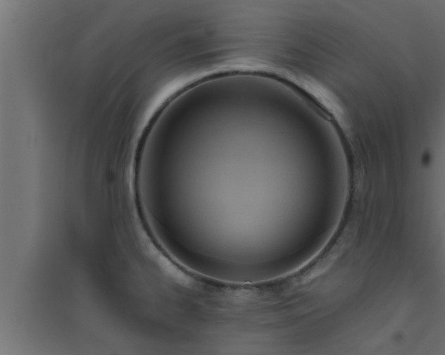 X0000094801334200711241415