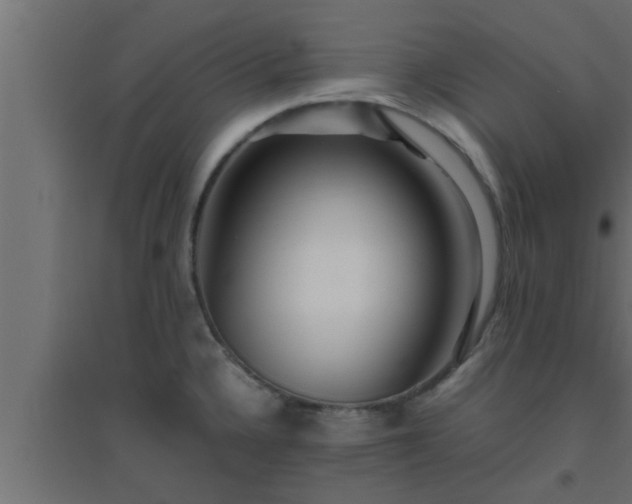 X0000094801336200711241415