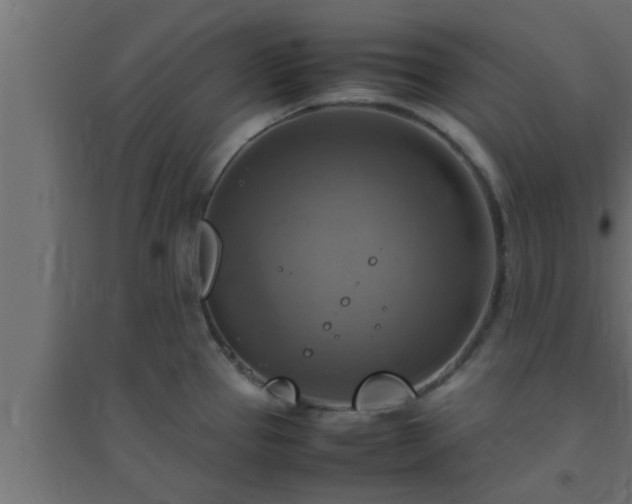 X0000094801337200711241415