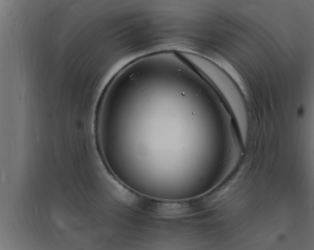 X0000094801339200711241416