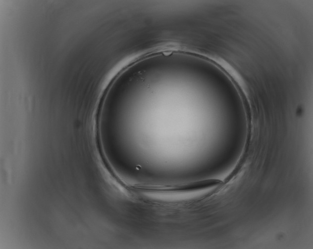 X0000094801341200711241416
