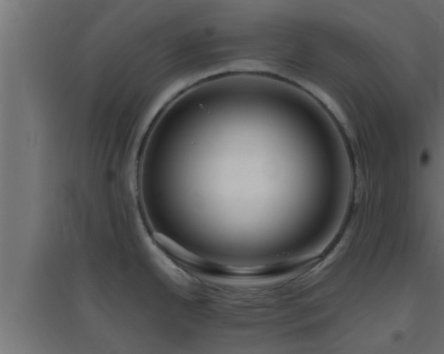 X0000094801342200711241416