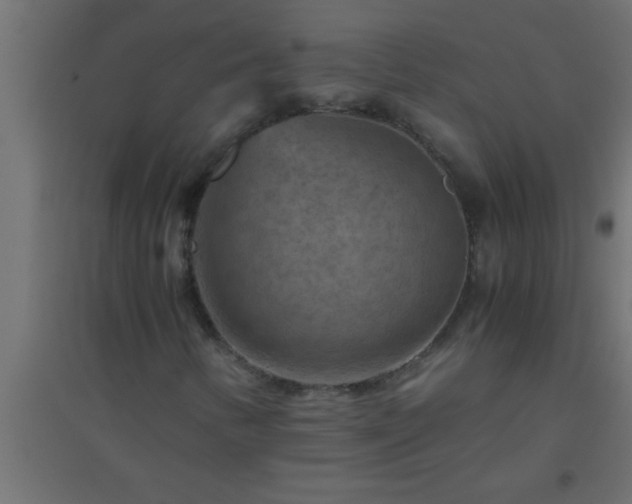 X0000094801346200711241415