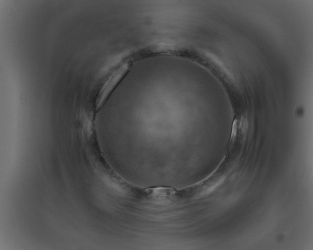 X0000094801348200711241415