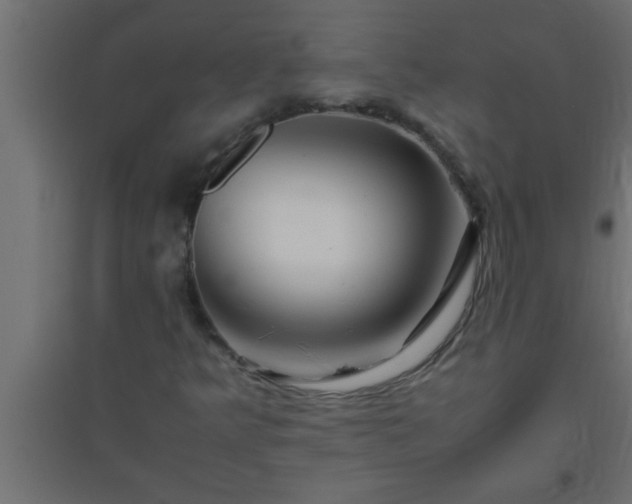 X0000094801349200711241415