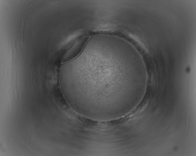 X0000094801350200711241415