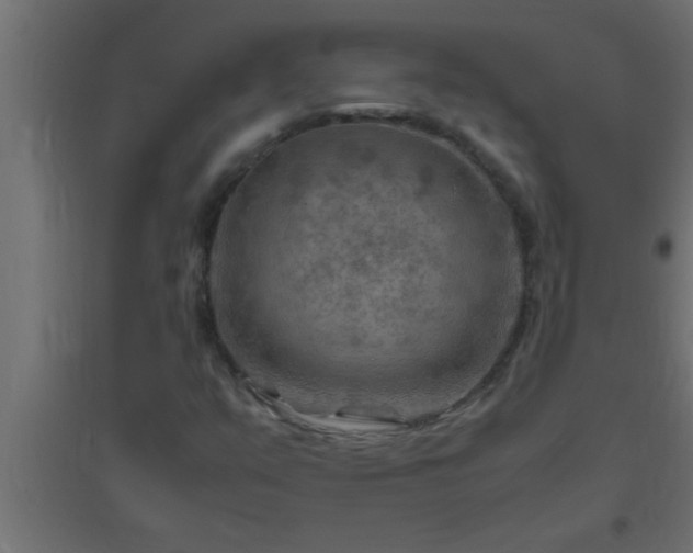 X0000094801351200711241415