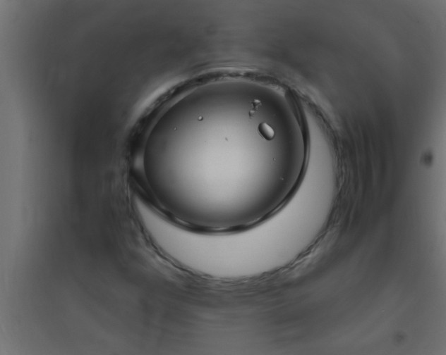 X0000094801352200711241415