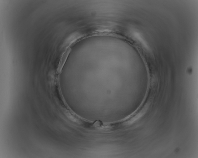 X0000094801353200711241415