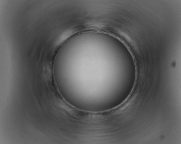X0000094801354200711241415