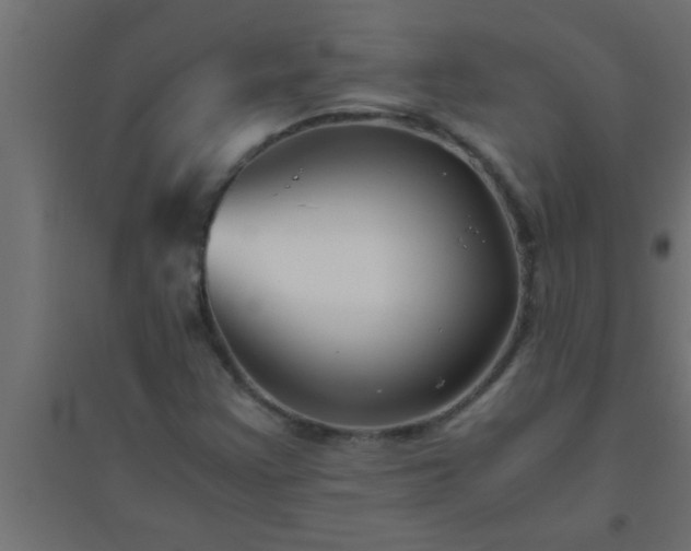 X0000094801355200711241415