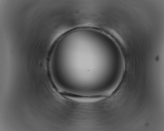 X0000094801356200711241415