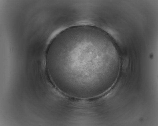 X0000094801358200711241415