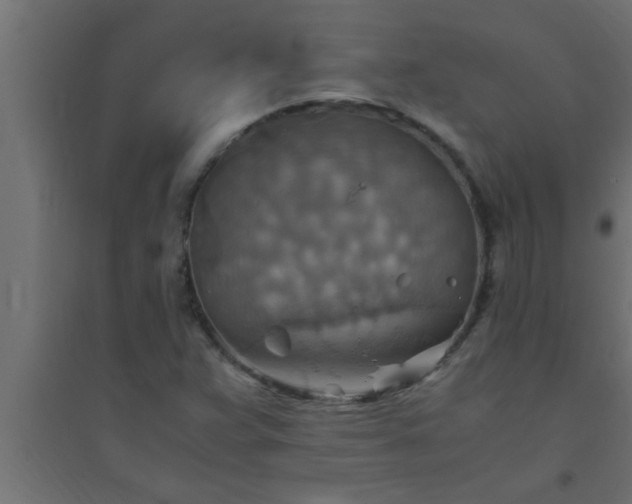 X0000094801359200711241415