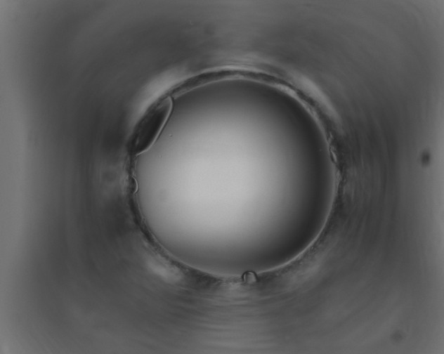 X0000094801360200711241415