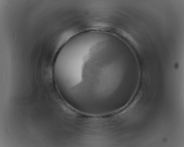 X0000094801362200711241415